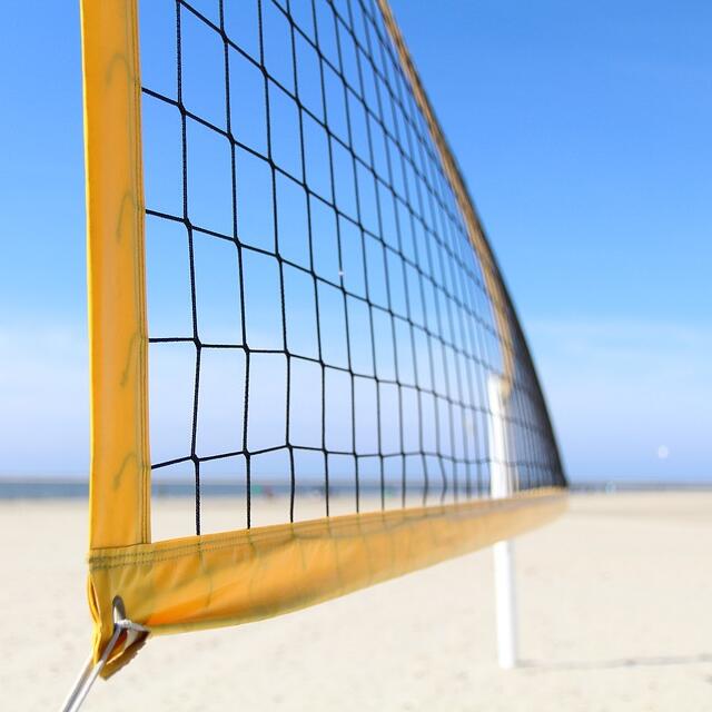 Multi-Purpose Knotted Sports N - Badminton Net review and price