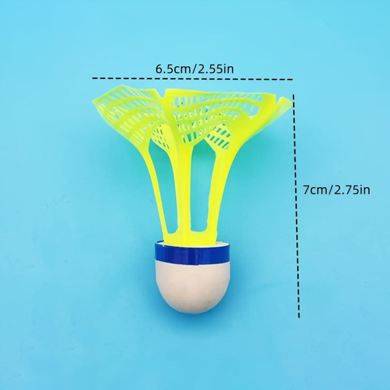 10pcs Wind-Resistant Badminton - Feather Shuttlecock review and price