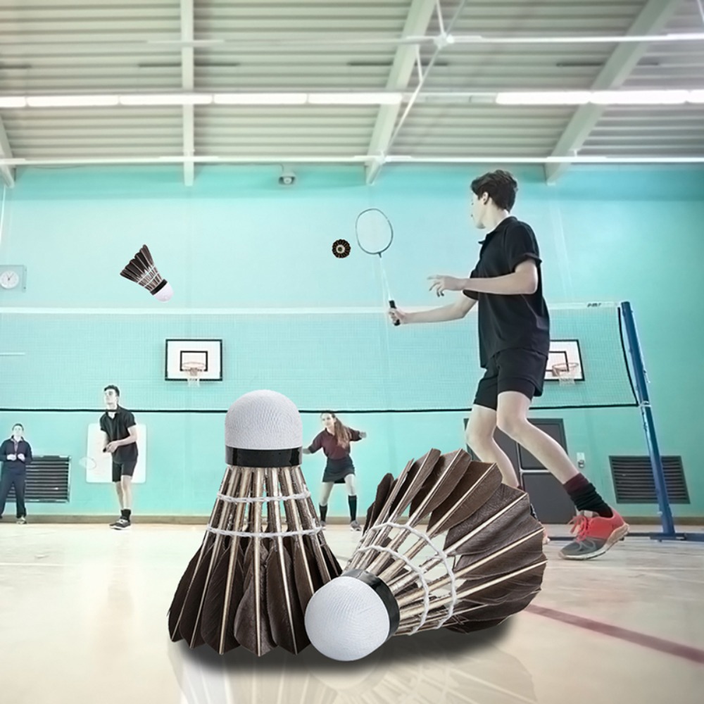 3/6/12Pcs Household Sport Trai - Feather Shuttlecock review and price