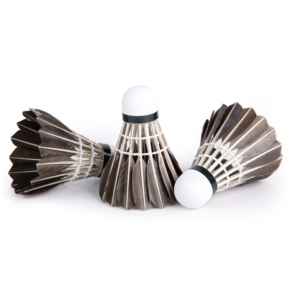 3/6/12Pcs Household Sport Trai - Feather Shuttlecock review and price