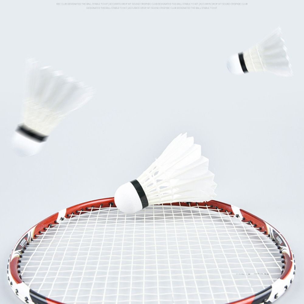 3/6/12Pcs New White Badminton  - Feather Shuttlecock review and price