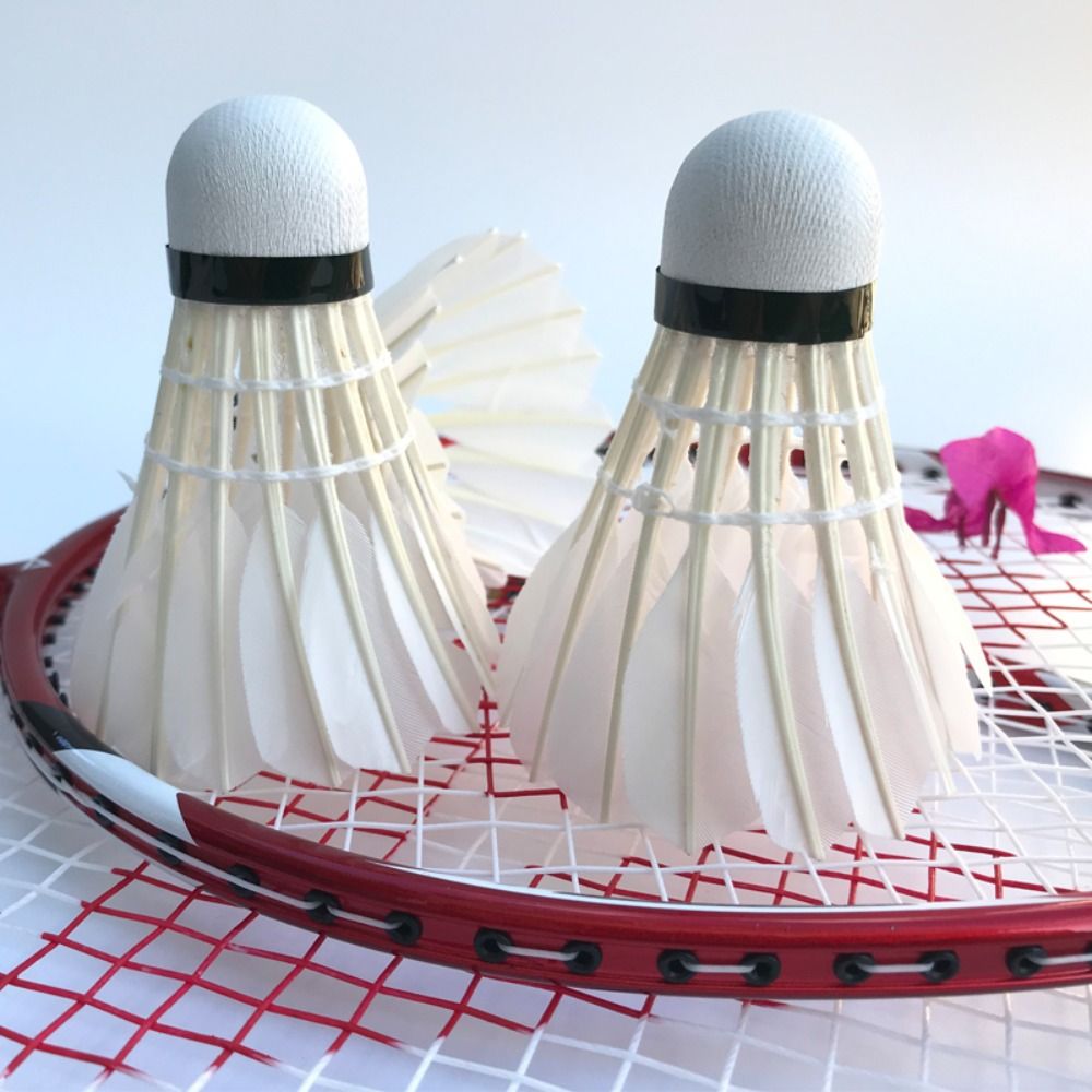 3/6/12Pcs New White Badminton  - Feather Shuttlecock review and price