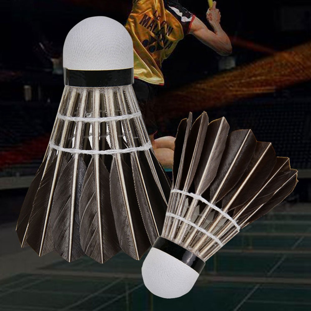 3/6/12Pcs Accessories Stable S - Feather Shuttlecock review and price