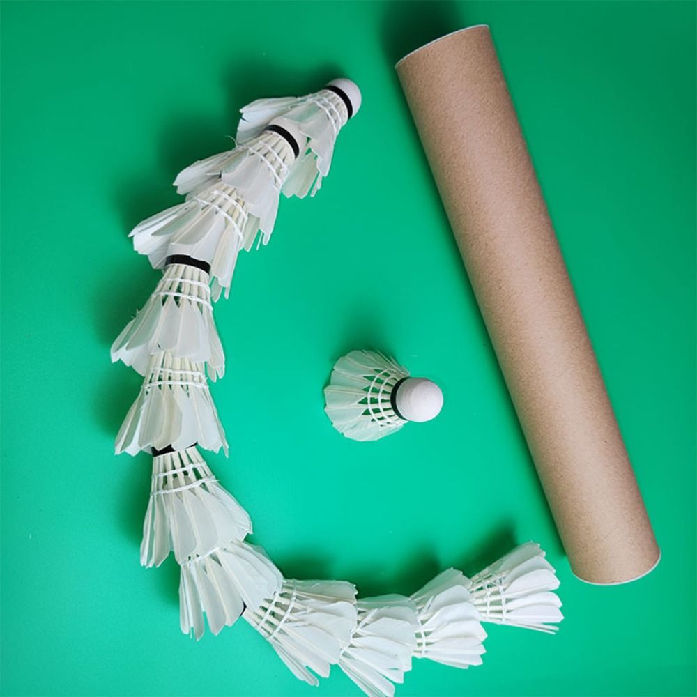 3/6/12Pcs New White Badminton  - Feather Shuttlecock review and price